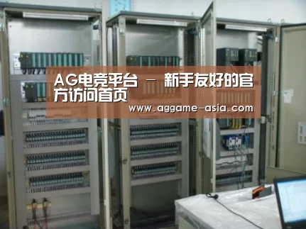 AG视讯案例展示五
