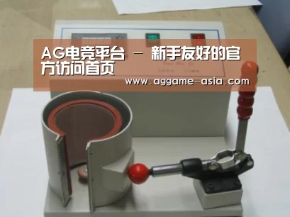 AG视讯案例展示六