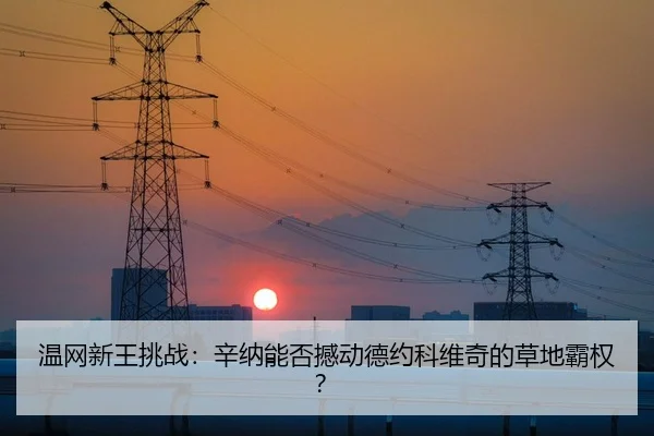 温网新王挑战：辛纳能否撼动德约科维奇的草地霸权？