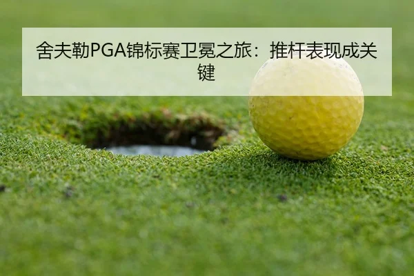 she-fu-lei-jin-biao-sai-wei-mian-zhi-lv-tui-gan-biao-xian-cheng-guan-jian-2-811.jpg
