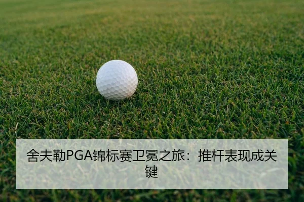 she-fu-lei-jin-biao-sai-wei-mian-zhi-lv-tui-gan-biao-xian-cheng-guan-jian-3-466.jpg