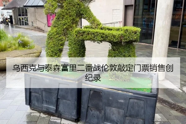 乌西克与泰森富里二番战伦敦敲定门票销售创纪录