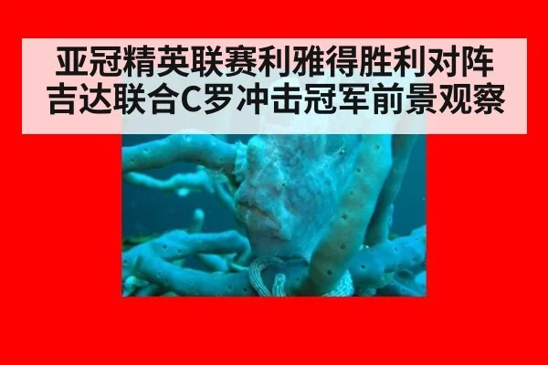 亚冠精英联赛利雅得胜利对阵吉达联合C罗冲击冠军前景观察