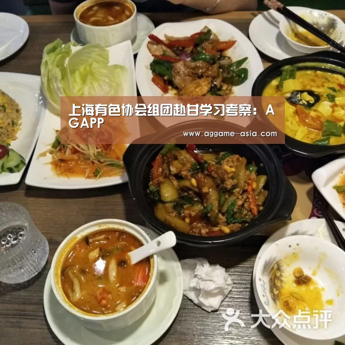上海有色协会组团赴甘学习考察：AGAPP(图3)