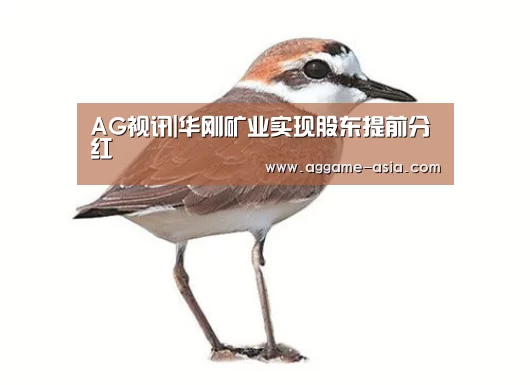 AG入口
