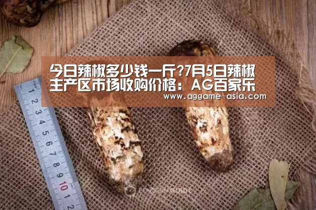 AG百家乐