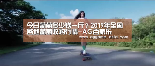 AG百家乐