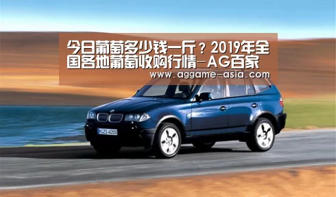 AG百家乐