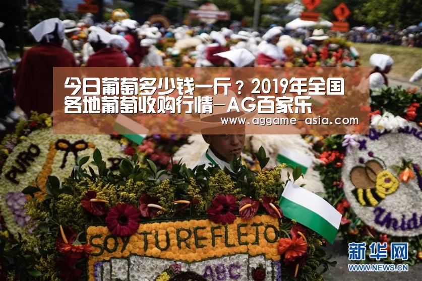 AG百家乐