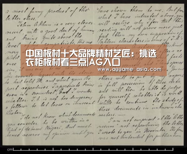 中国板材十大品牌精材艺匠：挑选衣柜板材看三点|AG入口(图2)