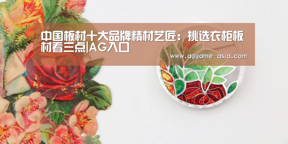 中国板材十大品牌精材艺匠：挑选衣柜板材看三点|AG入口(图3)