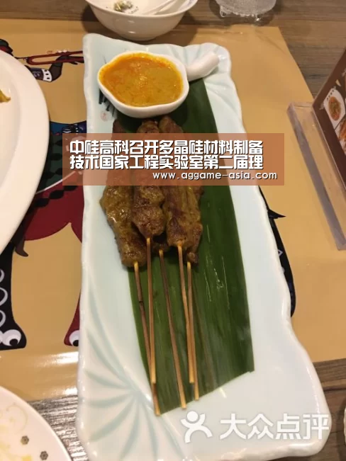 中硅高科召开多晶硅材料制备技术国家工程实验室第二届理事会暨2016年客户交流会‘AG入口’(图3) AG视讯