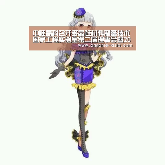 中硅高科召开多晶硅材料制备技术国家工程实验室第二届理事会暨2016年客户交流会‘AG入口’(图2) AG百家乐