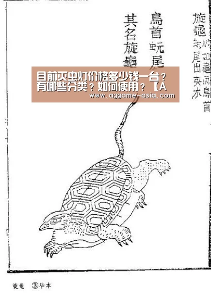 AG百家乐